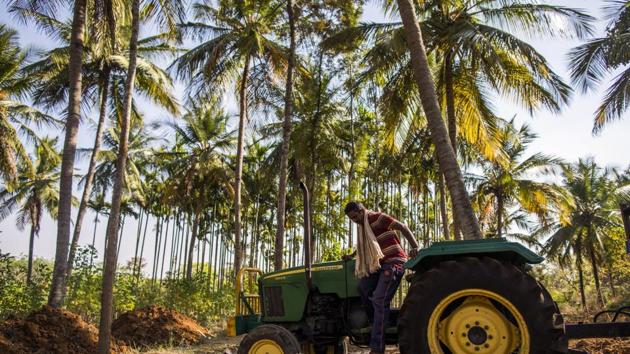 Karnataka’s Mandya district is well-irrigated, supplied by the Cauvery river, but farmers have been prone to committing suicide. (Bloomberg file photo) Karnataka’s Mandya district is well-irrigated, supplied by the Cauvery river, but farmers have been prone to committing suicide. (Bloomberg file photo)