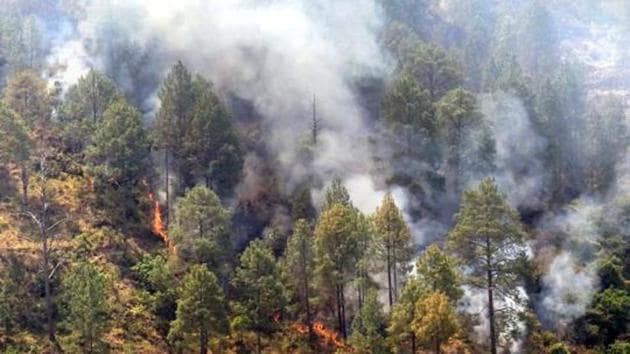 The think tank would also seek assistance from institutions like Forest Research Institute, Wildlife Institute of India and Butterfly Research Centre in Bhimtal. (HT FILE) The think tank would also seek assistance from institutions like Forest Research Institute, Wildlife Institute of India and Butterfly Research Centre in Bhimtal. (HT FILE)