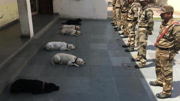 In a change from the usual procedure, the handlers were allowed to pick the names of their dogs.(HT Photo)