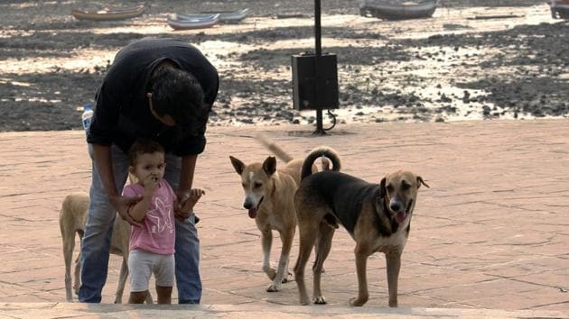The whole Indies App system is designed in such a way that a life cycle of stray dog or Indie is managed through this App – right from birth to death – birth and locality details, regular vaccination and anti-rabies vaccination schedule, sterilisation, de-worming, medication history if required, GPS based rescue, missing and found, adoption and foster. (HT) The whole Indies App system is designed in such a way that a life cycle of stray dog or Indie is managed through this App – right from birth to death – birth and locality details, regular vaccination and anti-rabies vaccination schedule, sterilisation, de-worming, medication history if required, GPS based rescue, missing and found, adoption and foster. (HT)