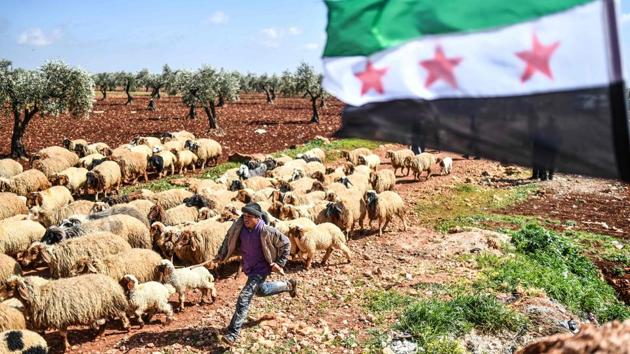Syrian people arrive at a check point with livestock in the village of Anab. Many of those fleeing were Kurdish families who feared that they would not be allowed to return and that Arab families would be moved into their neighbourhoods in a campaign orchestrated by Ankara to permanently drive Kurdish militant groups from Turkey. (Bulent Kilic / AFP) Syrian people arrive at a check point with livestock in the village of Anab. Many of those fleeing were Kurdish families who feared that they would not be allowed to return and that Arab families would be moved into their neighbourhoods in a campaign orchestrated by Ankara to permanently drive Kurdish militant groups from Turkey. (Bulent Kilic / AFP)