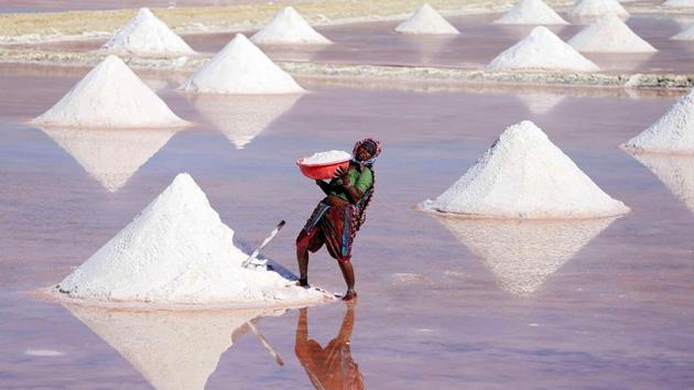 An Indian labourer works on a salt pan in the outskirts of Nagaur district, Rajasthan, March 7. International Monetary Fund chief, Christine Lagarde said raising women’s participation in the workforce to the level of men could boost the Indian economy by 27%.(AFP)