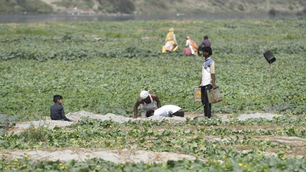 Groundwater pits in use around the Yamuna in New Delhi. The National Green Tribunal (NGT), in its orders over the past four years, banned several activities including sand mining, dumping of debris, encroachment and open defecation in the Yamuna floodplain. But fresh evidence gathered over the past six months by a private security agency, hired by the Delhi Development Authority (DDA) has shown that little seems to have changed on the ground. (Sanchit Khanna / HT Photo) Groundwater pits in use around the Yamuna in New Delhi. The National Green Tribunal (NGT), in its orders over the past four years, banned several activities including sand mining, dumping of debris, encroachment and open defecation in the Yamuna floodplain. But fresh evidence gathered over the past six months by a private security agency, hired by the Delhi Development Authority (DDA) has shown that little seems to have changed on the ground. (Sanchit Khanna / HT Photo)