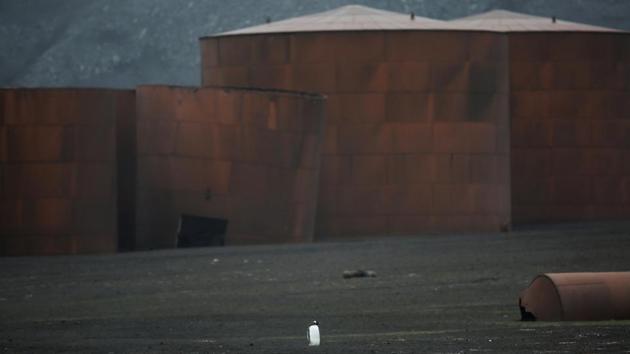 A lone penguin walks next to an old whaling factory on Deception Island. Antarctica is remote from civilization. But it is not untouched. While Greenpeace’s campaign hopes to reveal some of the regions vulnerabilities, Meneghini’s images hope to bring across the region’s beauty. (Alexandre Meneghini / REUTERS) A lone penguin walks next to an old whaling factory on Deception Island. Antarctica is remote from civilization. But it is not untouched. While Greenpeace’s campaign hopes to reveal some of the regions vulnerabilities, Meneghini’s images hope to bring across the region’s beauty. (Alexandre Meneghini / REUTERS)