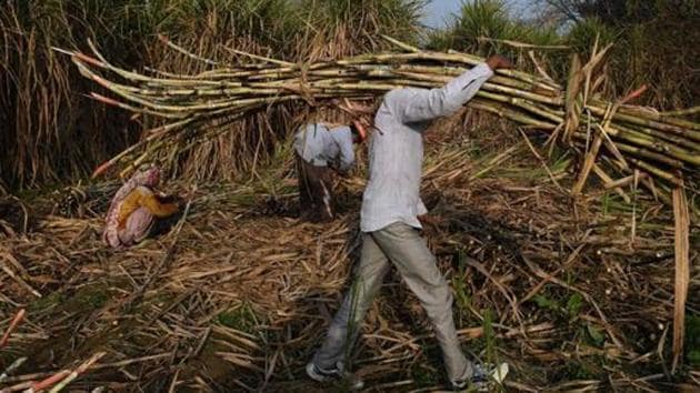 The national job guarantee scheme is meant for rural areas and the villages. (File/AFP) The national job guarantee scheme is meant for rural areas and the villages. (File/AFP)