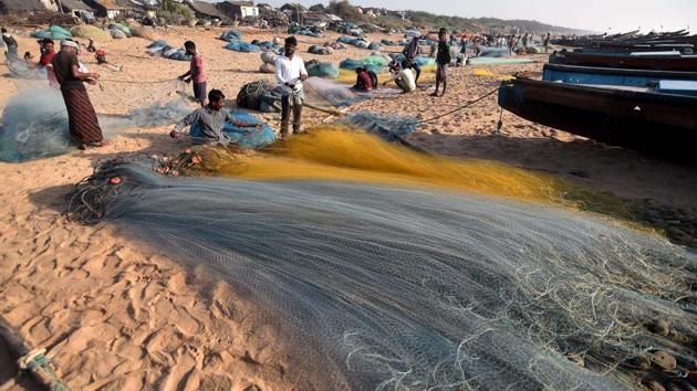 Although the job is unpaid and usually follows a long day at work, volunteers and fishermen are driven by their bond with the turtles. In 2014 and 2016, no turtles arrived at all, spooking locals who consider their fate intertwined with their ocean visitors. “For us, turtles are an incarnation of Vishnu. If they die or don’t come we feel we have missed out on their blessing,” said one volunteer. (Asit Kumar / AFP) Although the job is unpaid and usually follows a long day at work, volunteers and fishermen are driven by their bond with the turtles. In 2014 and 2016, no turtles arrived at all, spooking locals who consider their fate intertwined with their ocean visitors. “For us, turtles are an incarnation of Vishnu. If they die or don’t come we feel we have missed out on their blessing,” said one volunteer. (Asit Kumar / AFP)