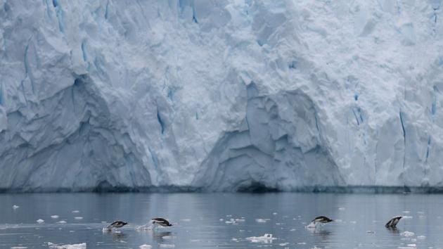 Penguins swim next to a glacier in Neko Harbour. Antarctica itself is currently protected under the Antarctic Treaty, but there is still scope for abuse of waters around Antarctica, and it is already dealing with issues that are happening elsewhere in the world, such as increasing CO2 levels, acidification of the oceans, and plastics. (Alexandre Meneghini / REUTERS) Penguins swim next to a glacier in Neko Harbour. Antarctica itself is currently protected under the Antarctic Treaty, but there is still scope for abuse of waters around Antarctica, and it is already dealing with issues that are happening elsewhere in the world, such as increasing CO2 levels, acidification of the oceans, and plastics. (Alexandre Meneghini / REUTERS)