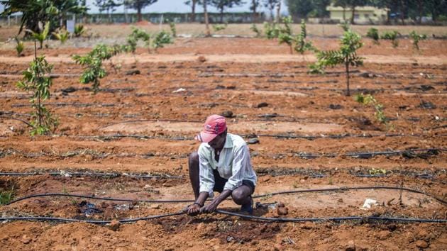 A farmer prepares a drip irrigation line in a tomato field in Kempalinganapura, Bengaluru Rural district, Karnataka. PM Modi needs a win in Karnataka to maintain his winning image, since this is a state that’s swung from party to party since 1985. (Prashanth Vishwanathan / Bloomberg) A farmer prepares a drip irrigation line in a tomato field in Kempalinganapura, Bengaluru Rural district, Karnataka. PM Modi needs a win in Karnataka to maintain his winning image, since this is a state that’s swung from party to party since 1985. (Prashanth Vishwanathan / Bloomberg)