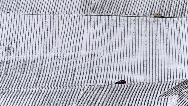 Cars drive by vineyards covered in snow, on the eve of the first day of spring, in Chamery, in the Champagne region, France on March 19, 2018. (Francois Nascimbeni / AFP) Cars drive by vineyards covered in snow, on the eve of the first day of spring, in Chamery, in the Champagne region, France on March 19, 2018. (Francois Nascimbeni / AFP)