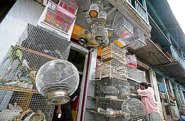 While the bill permits the sale at municipal markets, there is no clarity on the trade outside. (HT File Photo) While the bill permits the sale at municipal markets, there is no clarity on the trade outside. (HT File Photo)