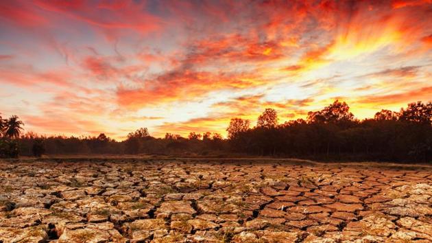 The metabolic theory of ecology can be used to predict how various biological processes respond to temperature. (Shutterstock) The metabolic theory of ecology can be used to predict how various biological processes respond to temperature. (Shutterstock)