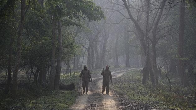 Forest officials on patrol during a rhino census at the Pobitora Wildlife Sanctuary in Assam. The rhino census is a regular exercise carried out every three years. While the last census of the one-horned rhinos at Pobitora was carried out in 2012, Kaziranga’s last census in 2015 showed 2,401 rhinos in the national park. (Anupan Nath / AP) Forest officials on patrol during a rhino census at the Pobitora Wildlife Sanctuary in Assam. The rhino census is a regular exercise carried out every three years. While the last census of the one-horned rhinos at Pobitora was carried out in 2012, Kaziranga’s last census in 2015 showed 2,401 rhinos in the national park. (Anupan Nath / AP)
