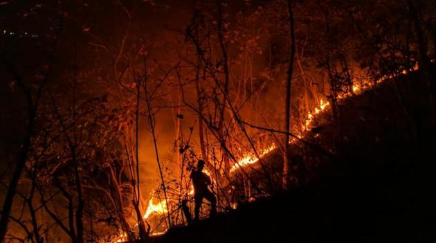 On March 13, four deliberately lit forest fires were reported from protected forest areas inside and around Sanjay Gandhi National Park in Mumbai.(HT file)
