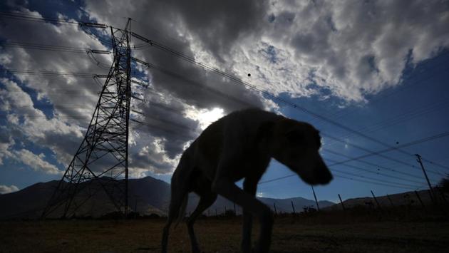 A greyhound passes by a power line tower in Til Til. The national committee that approved the project says safeguards have put in place to minimize contamination or impact on townspeople. Ciclo said that the site is the only one within the greater Santiago region that is “apt and possible” for an industrial waste site of this magnitude. (Ivan Alvarado / REUTERS) A greyhound passes by a power line tower in Til Til. The national committee that approved the project says safeguards have put in place to minimize contamination or impact on townspeople. Ciclo said that the site is the only one within the greater Santiago region that is “apt and possible” for an industrial waste site of this magnitude. (Ivan Alvarado / REUTERS)