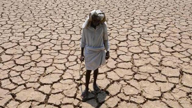 The report detailed “45.61% of the farmers who committed suicides were marginal farmers, having less than 2.5 acres of land, whereas 30.53% were small farmers, having land between 2.5 acres and 5 acres”. (HT File/Representative image) The report detailed “45.61% of the farmers who committed suicides were marginal farmers, having less than 2.5 acres of land, whereas 30.53% were small farmers, having land between 2.5 acres and 5 acres”. (HT File/Representative image)