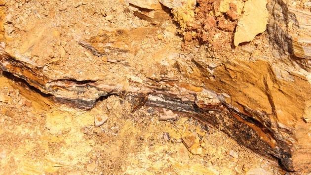 The mineral snakes just below the surface and locals chase it through townships and villages. Artisanal miners, accounting for 15% of the country’s output in 2017, have put corporate firms in a bind. Death was frequent in informal mines and Amnesty International found women and children involved in ore processing. The government banned such digging in April last year. (William Clowes / Bloomberg)