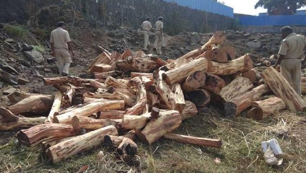 Acting on a tip-off, 250 forest and police personnel busted a smuggling operation where 60 tonnes of wood was seized in Thane district.(HT Photo)