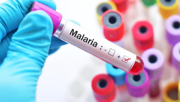 A mutant form of ferroportin that occurs in African populations appears to protect against malaria.(Shutterstock)