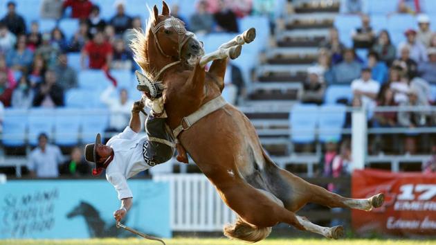 A gaucho rides an untamed horse during Creole week celebrations in Montevideo, Uruguay. (Andres Stapff / REUTERS)