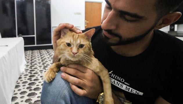 Ahmad Taher, a 24-year-old senior veterinary student, attends to cats staying for short periods at the cat hotel.(AFP)