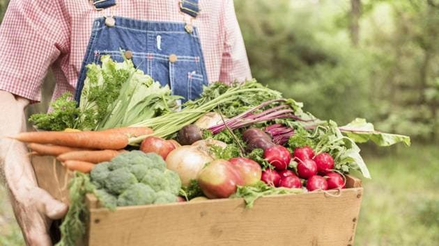 Sikkim will not allow sale of some non-organic vegetables and fruits in markets across the state from Sunday.(Getty Images/Representative Image)