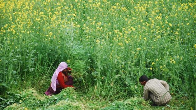 The hill state is endowed with a huge tourism potential, which can be tapped by promoting homestay facilities, and leisure and religious tourism, says the economic survey report.(HT Photo)