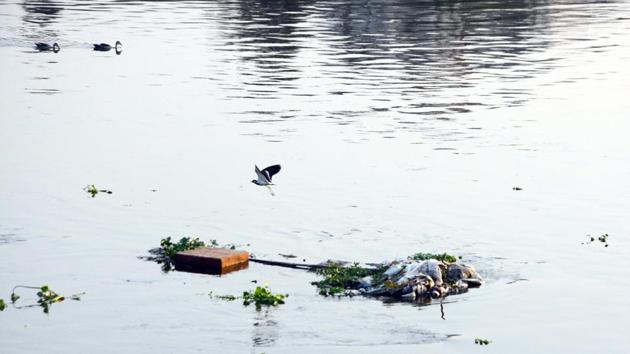 After missing deadlines on two occasions earlier, the government has given yet another deadline for the appointment of a consultant for the conservation project of Mula and Mutha rivers.(HT PHOTO) After missing deadlines on two occasions earlier, the government has given yet another deadline for the appointment of a consultant for the conservation project of Mula and Mutha rivers.(HT PHOTO)