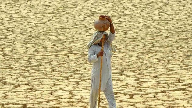 The countries at the greatest vulnerability to food insecurity when moving from the present-day climate to 2 degrees Celsius global warming are Oman, India, Bangladesh, Saudi Arabia and Brazil, researchers said.(Representative photo)