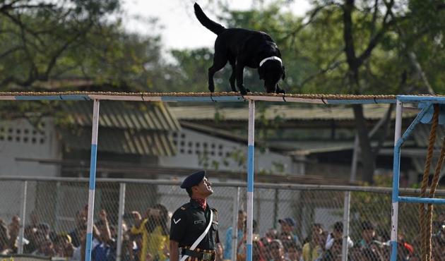 A dog show at the 124th Raising Day of Southern Command Military Tattoo event at Race course in Pune on March 31. (PRATHAM GOKHALE/HT PHOTO)