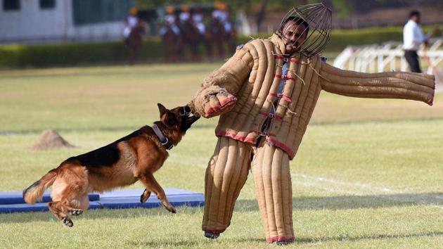 A dog show during the 124th Raising Day of Southern Command Military Tattoo event at Race course in Pune on March 31. (PRATHAM GOKHALE/HT PHOTO)