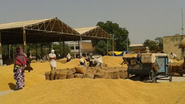 The missing paddy was sent to owner Verru Mal’s mill in the kharif season of 2017, but on checking it was found missing.(HT File Photo) The missing paddy was sent to owner Verru Mal’s mill in the kharif season of 2017, but on checking it was found missing.(HT File Photo)