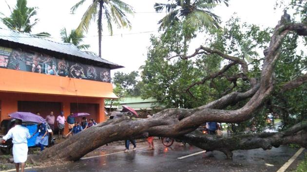 Cyclone Ockhi, which formed as a depression over southwest Bay of Bengal on November 29, 2017, intensified into a cyclone off the Kanyakumari coast in Tamil Nadu on November 30.(HT File Photo)