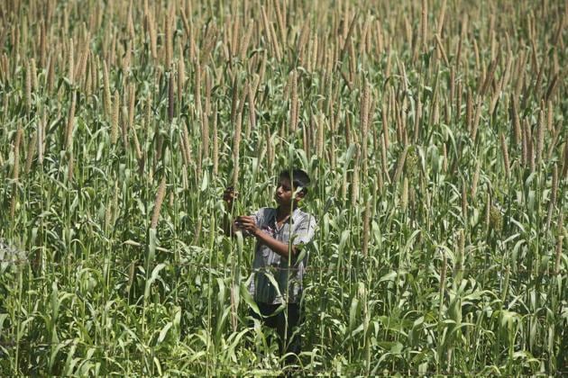 The government fixed a maximum limit of <span class='webrupee'>₹</span>1 lakh that could be waived and that, too, only against one loan account.(REUTERS)