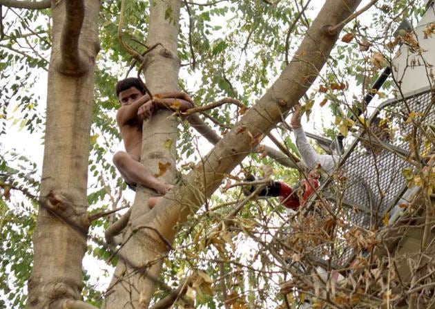 Every time the rescuers tried to reach him, the man, identified as Deepu, shifted his location and clung on to the tree.(HT PHOTO)