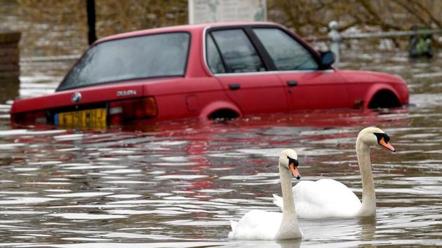 Swans swim past a car submerged under flood water on a residential street in Richmond, London, Britain. (Toby Melville / REUTERS)