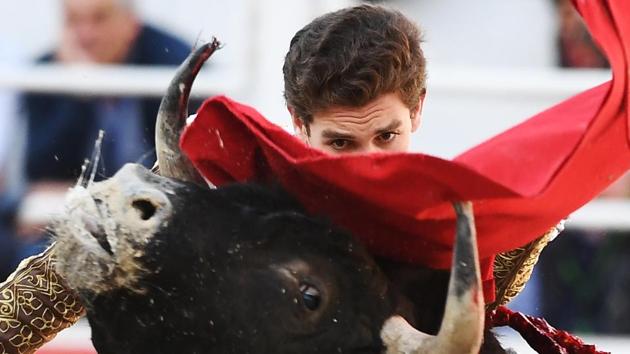 Spanish bullfighter Gines Marin perfoms a pass to a Spanish Jandilla bull during the Feria du Riz in Arles, southern France. (Boris Horvat / AFP)