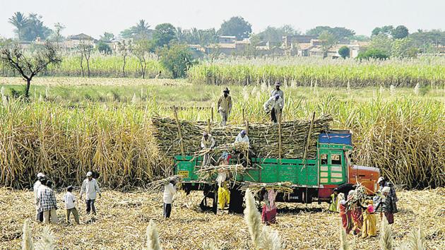The MSP is the price of a crop at which rate the government buys crops from farmers.(HT FILE PHOTO)