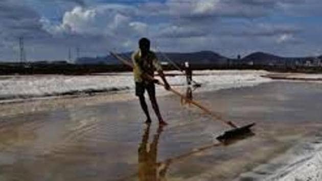 In Mumbai, salt pan land is distributed across Mulund, Bhandup, Trombay, Wadala, Mankhurd-Chembur, Dahisar and Goregaon(FILE)