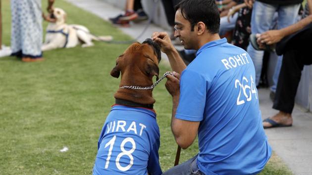 A pet dog following the instructions of the owner at the PetYo festival at Amanora Club House in Pune on April 8. (RAHUL RAUT/HT PHOTO)