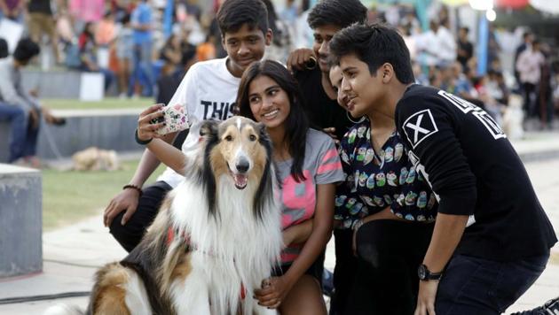 Pet lovers and owners gathered at the PetYo 2018 festival organised at Amanora Club House in Pune on April 8. The pet festival is the brainchild of three information technology professionals to bring pets, pet-lovers, doctors and professionals on the same platform. (RAHUL RAUT/HT PHOTO)