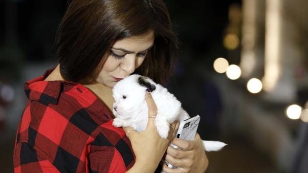 A pet lover affectionately holds a puppy at the PetYo festival Pune 2018 at Amanora Club House on April 8. (RAHUL RAUT/HT PHOTO)