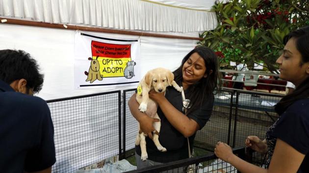 Many dogs were adopted at the PetYo festival Pune 2018 organised at Amanora Club House in Pune on April 8. (RAHUL RAUT/HT PHOTO)
