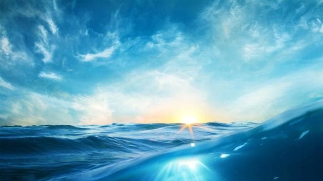 From 1925 to 2016, the number of annual marine heatwave days globally jumped by 54%, with a noticeable acceleration over the last three decades.(Shutterstock)