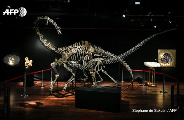 Skeletons of an allosaurus and a diplodocus are up for auction in Paris, marketed as hip interior design objects(AFP Photo)