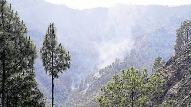 The major details of the policy includes commercial use of forest produce, creating jobs linked to forest conservation, encouraging private plantations, watershed development, and mitigating climate change impacts through forestry.(HT FILE)
