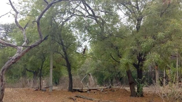 The new animal treatment centre will be built on three acres of land behind the Sultanpur rest house. The new animal treatment centre will be built on three acres of land behind the Sultanpur rest house.