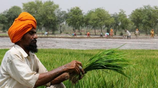 Growers from Haryana will also join the protest, titled ‘Kisan Avkash’ (farmers on leave), under the banner of Rashtriya Kisan Mahasangh. (HT File/Representative image) Growers from Haryana will also join the protest, titled ‘Kisan Avkash’ (farmers on leave), under the banner of Rashtriya Kisan Mahasangh. (HT File/Representative image)
