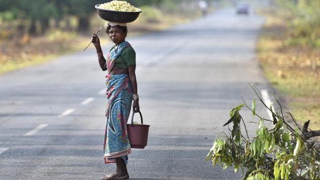 A tribal woman carries a haul of Mahua flowers on her head. Climbing or cutting the tree is taboo among some tribes. During picking season, women and children head out early in the morning to clean the floor beneath trees and return with mature flowers that have fallen naturally. (Sanchit Khanna / HT Photo)