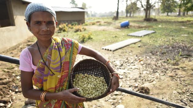 These edible flowers are also used to make syrup for medicinal purposes and can also be used to make jams. In many parts of Bihar the sun-dried Mahua flower is ground into flour to make various kinds of bread. (Sanchit Khanna / HT Photo)