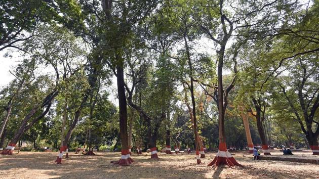 The survey of Empress Garden to ascertain land occupancy mainly of survey number 504 is expected to last for around three days. (Pratham Gokhale/HT Photo) The survey of Empress Garden to ascertain land occupancy mainly of survey number 504 is expected to last for around three days. (Pratham Gokhale/HT Photo)